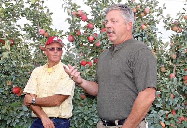 Tom Auvil, left, listens as Jim Divis, right, discusses Honeycrisp challenges during a Honeycrisp field tour. (Geraldine Warner/Good Fruit Grower)