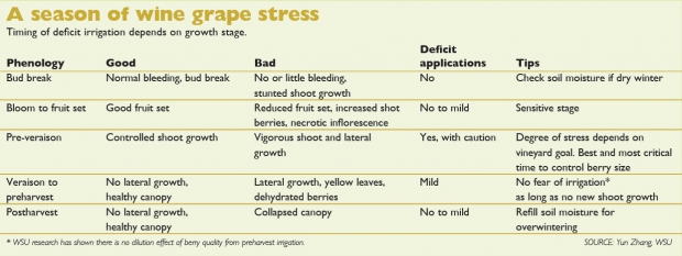wine grape stress