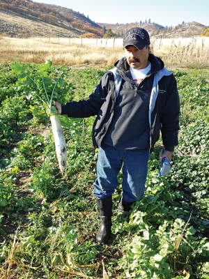 Mike Omeg plants a seed mix, including the daikon tillage radish, as a cover crop to improve water and air penetration and stimulate biological activity in the soil. <b>(Photo courtesy Mike Omeg)</b>