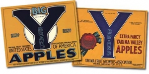 The Yakima Fruit Growers Association updated its label in 1928, and the company itself soon came to be called the “Big Y.”