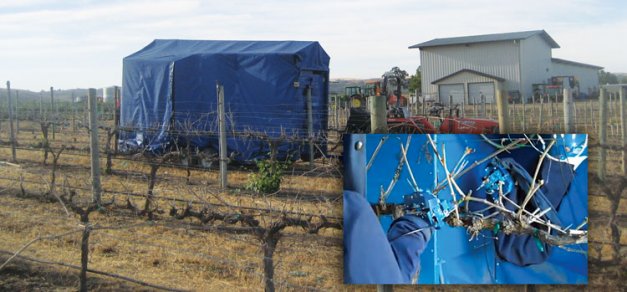 Vision Robotics is well along in developing a robotic pruner for grapes, shown at work above, and the robotic shears pictured in the inset photo. Apple tree canopies are more three-dimensional than grapes and pruning decisions harder to make, a problem that will be addressed by experimenting on the tall spindle system, which uses a simplified renewal pruning process.