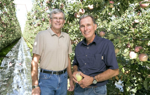 Craig and Mike O’Brien at their orchard near Prosser, Washington on September 26, 2014. (TJ Mullinax/Good Fruit Grower)