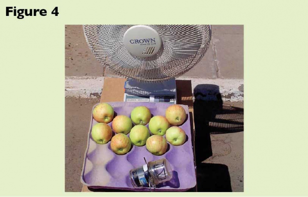 Figure 4. Cooling detached fruit with ventilation prevents them from burning, while unventilated fruit suffer burning. The use of glass or polycarbonate did not slow the rate of damage