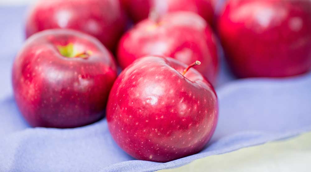 La Universidad del Estado de Washington ha pasado dos décadas desarrollando la manzana WA 38, ahora conocida como la variedad Cosmic Crisp. El primer cultivo considerado comercial será cosechado en 2020. (TJ Mullinax/Good Fruit Grower)