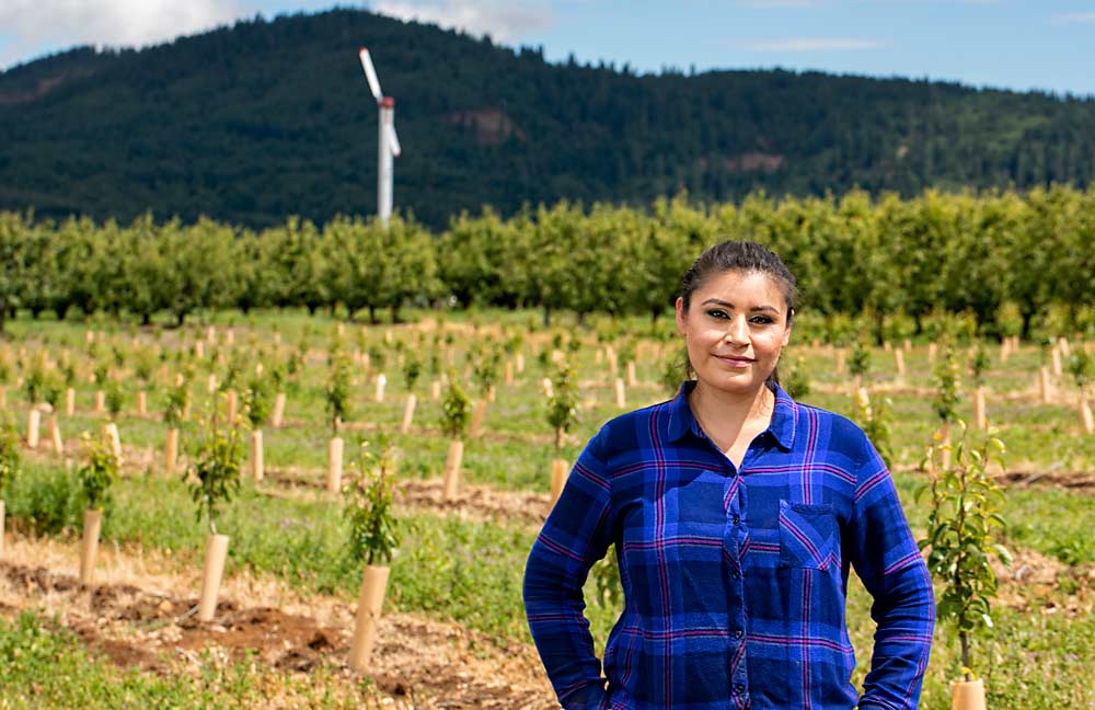 Yesenia Sánchez Oates en Parkdale, Oregón, 27 de junio de 2019. “Realmente necesitamos tomar una decisión como industria para diferenciar nuestro producto o se va a convertir en una mercancía genérica", declaró Sánchez Oates en la reunión de la agencia de mercadotecnia Pear Bureau Northwest en mayo. “Si vamos a decir que la variedad [de peras] Anjou madura es la nueva variedad, ¿cómo vamos a proceder y asegurarnos de que podamos cumplir esa promesa? Tenemos la oportunidad de cambiar la marca, y no podemos hacerlo hasta que contemos con controles de calidad”. (TJ Mullinax/Good Fruit Grower)