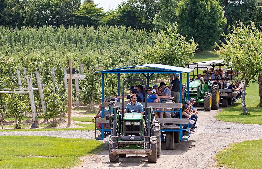 El gerente de la granja de Chudleigh, Riley Bruce, conduce un tren de vagones personalizados que llevan a los asistentes de IFTA más allá de la esquina de McIntosh Parkway y Honeycrisp Road, mostrando cómo la granja combina técnicas hortícolas modernas y un proyecto de agroentretenimiento para crear un “vecindario de huertos,” como se indica en las señales alrededor de la granja. (TJ Mullinax/Good Fruit Grower)