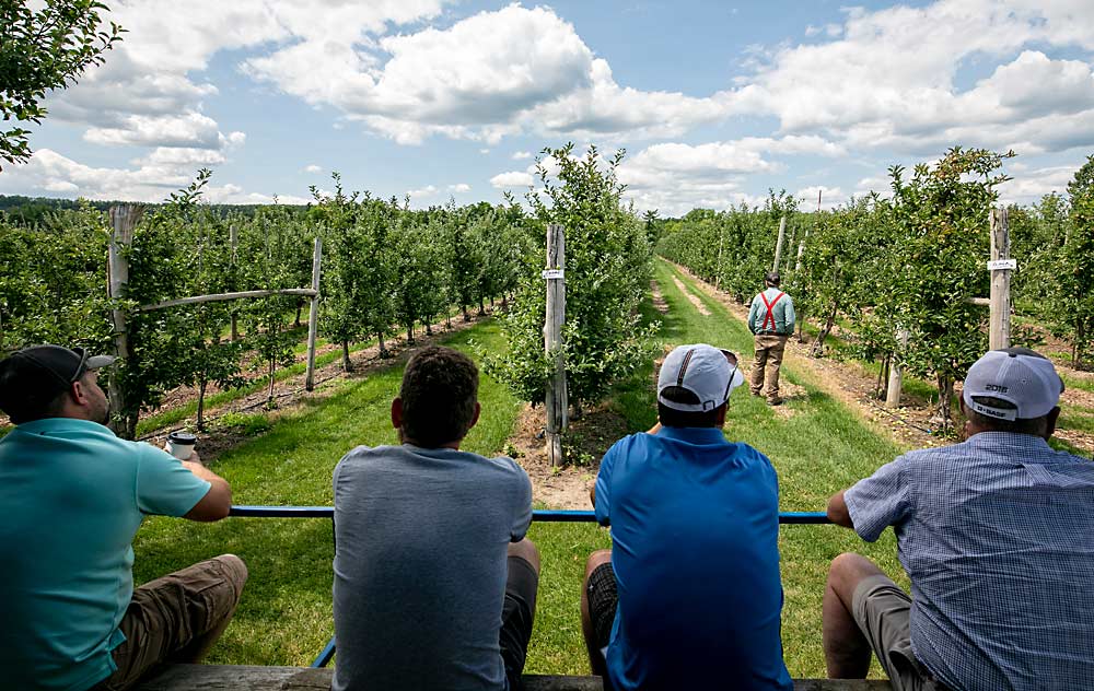 Los asistentes a la Gira de Estudio de Verano de la Asociación Internacional de Árboles Frutales de 2019 revisan las amplias hileras de Empire y Gala en Chudleigh’s Farm, a las afueras de Toronto. La parada de IFTA presenta varios métodos de planificación de la granja, como el espacio entre hileras de más de 14 pies, orientado a mejorar la experiencia del cliente, especialmente durante las horas punta de visitantes. (TJ Mullinax/Good Fruit Grower)