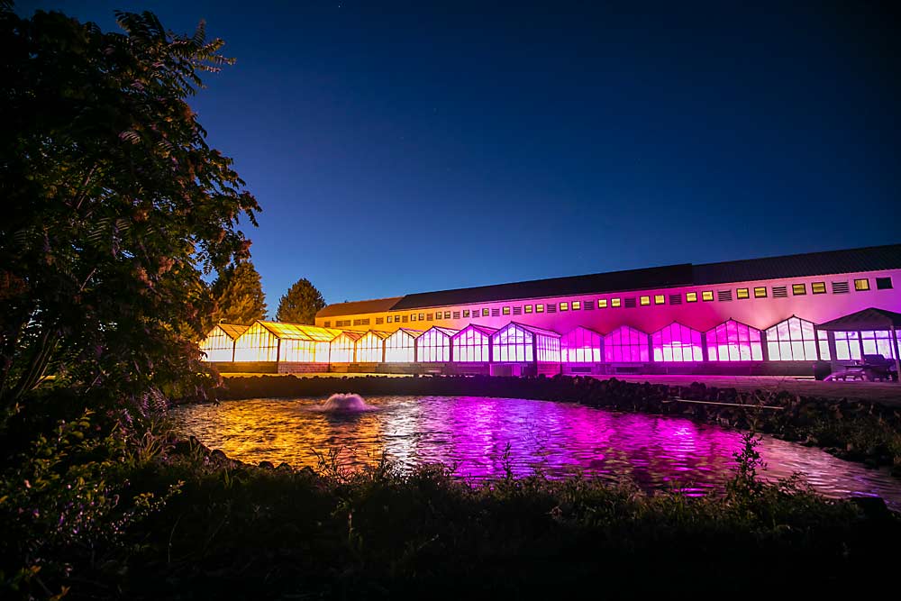 El edificio del Servicio de Investigación Agrícola del Departamento de Agricultura de Estados Unidos en Wapato, Washington, está iluminado con luces de invernadero. Aunque esta instalación tiene solo 24 años, los científicos del ARS han tenido su sede en el Valle de Yakima durante 100 años. (TJ Mullinax/Good Fruit Grower)