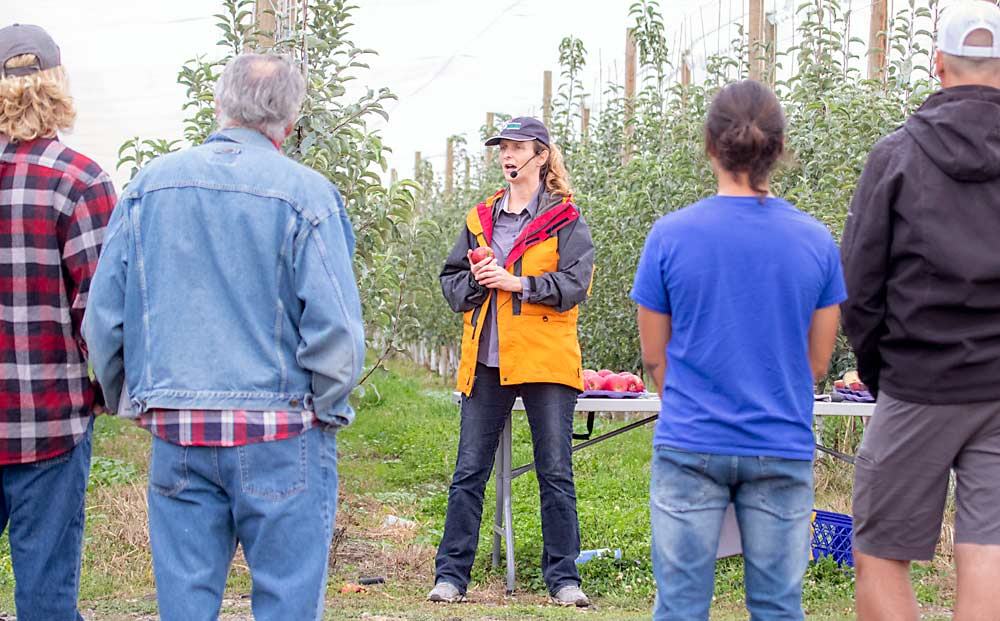 La directora ejecutiva de la Washington Tree Fruit Research Commission, Ines Hanrahan, explica cómo usar la escala de almidón que la comisión ayudó a desarrollar para garantizar que Cosmic Crisp se coseche con la máxima calidad durante un día de campo de septiembre antes de la primera cosecha comercial de la manzana producida por la Washington State University. (TJ Mullinax/Good Fruit Grower)