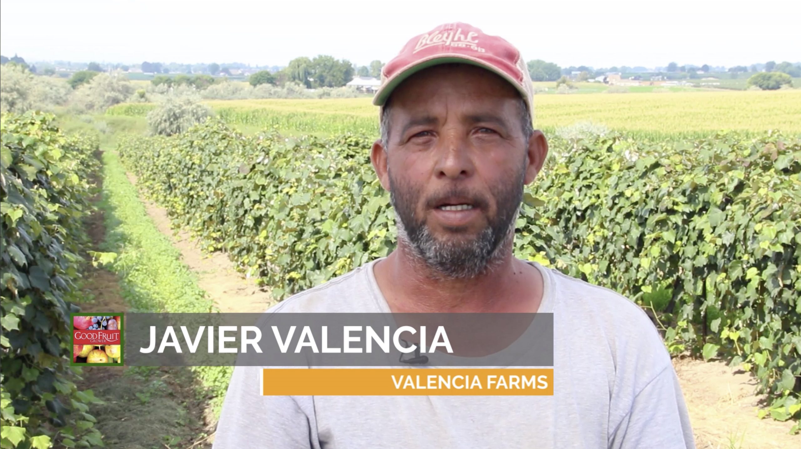 Javier Valencia video