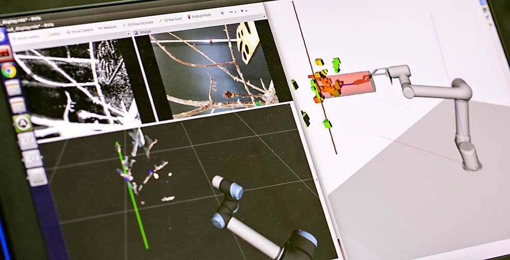 Esto es lo que Uddhav Bhattarai ve en el monitor de la computadora de un prototipo del sistema de visión de poda robótica. La pantalla muestra varios tipos de información en vivo desde las cámaras y sensores del robot, incluida la arquitectura del árbol y el robot en el espacio 3D. (TJ Mullinax/Good Fruit Grower)