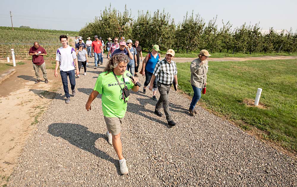 Craver lleva a un grupo de jóvenes productores más allá de su vivero, a la izquierda, hacia uno de sus bloques de peras orgánicas. (TJ Mullinax/Good Fruit Grower)