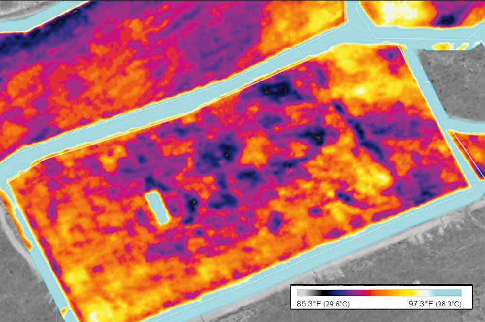 IMAGEN 2: Ste. Michelle Wine Estates utiliza imágenes térmicas, como esta imagen, para detectar zonas frías con menos circulación de aire. Las áreas moradas son más frías; las áreas amarillas son más cálidas. Las áreas azules indican suelo desnudo. (Cortesía de Ste. Michelle Wine Estates)
