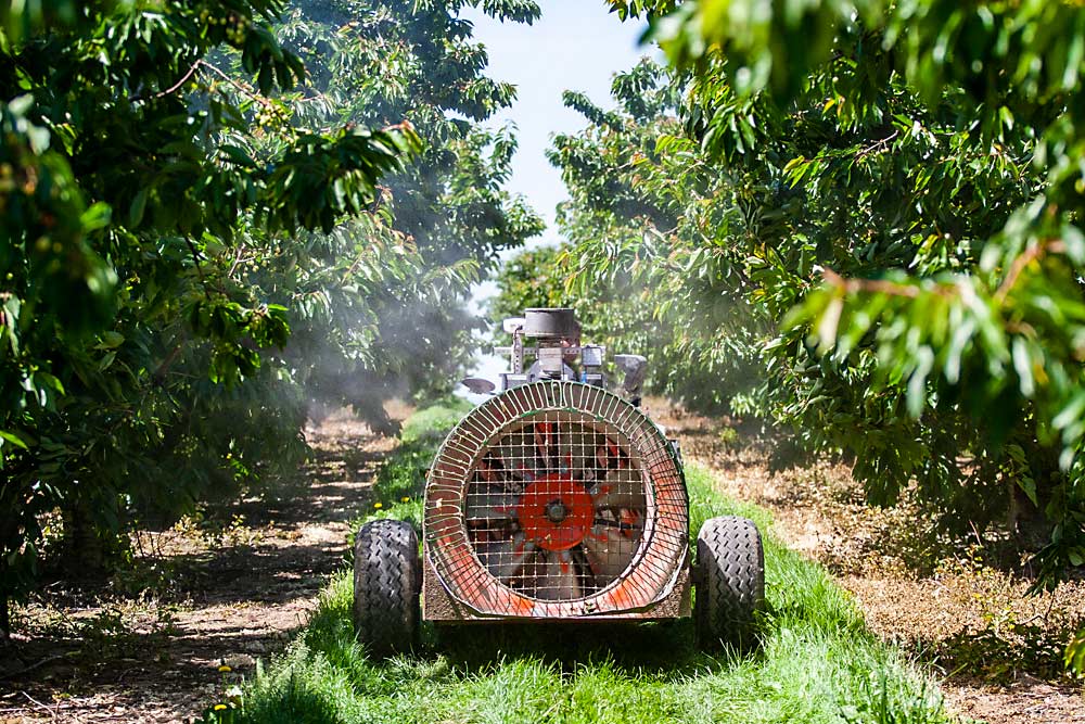 Ángel Aguilar, gerente general de Bosma Orchards, hace una demostración de la tecnología de la empresa Smart Guided Systems con uno de los aspersores más antiguos de la huerta. Estima que la tecnología reduce los costos de aspersión en un 35 por ciento. (Ross Courtney/Good Fruit Grower)