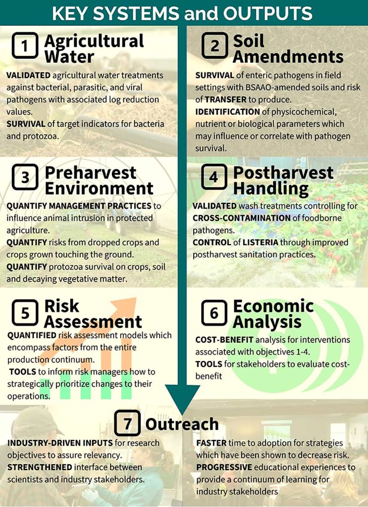 Este gráfico resume los componentes clave del proyecto SCRI diseñado para proporcionar ayuda en la toma de decisiones sobre la seguridad alimentaria. (Cortesía de Faith Critzer/ Universidad Estatal de Washington)