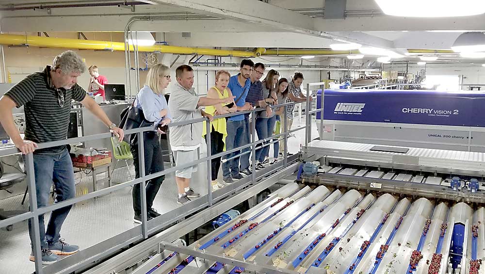 John Harris señala mientras habla sobre la tecnología óptica de clasificación de cerezas en la instalación de empaque Western Sweet Cherry Group en Yakima, Washington, con representantes de la Embajada de Holanda y de la Comisión de Investigación de Frutas de Árbol de Washington. Este último grupo acogió a los visitantes en julio de 2019 para discutir una posible colaboración en el desarrollo de la tecnología de huertos. (Cortesía de Ines Hanrahan)