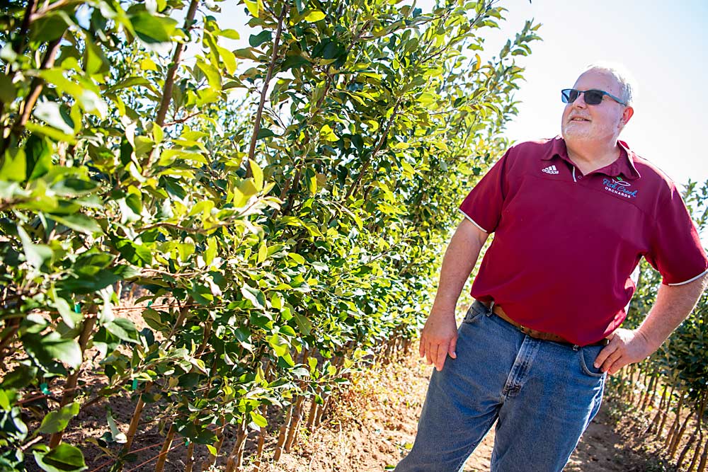 Rod Farrow, ganador del premio Productor del Año 2020 de Good Fruit Grower, es conocido por su enfoque lucrativo hacia la horticultura de precisión, por ser un pionero de los sistemas de espalderas superpuntiagudas en Nueva York y por su servicio y liderazgo en la industria de la manzana a nivel mundial.(Amanda Morrison/para Good Fruit Grower)