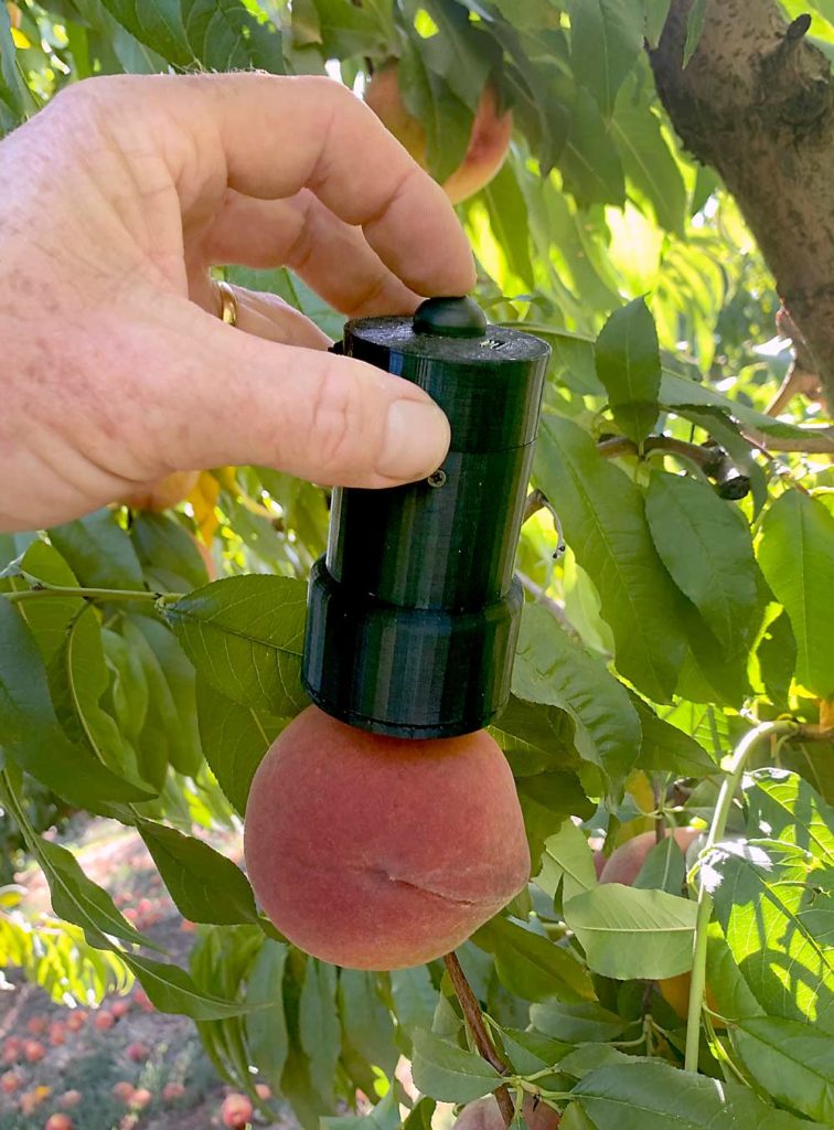 Rubens Technologies, de Melbourne, Australia, está desarrollando sensores de espectrometría manuales que utilizan la luz reflejada y la fluorescencia para medir la madurez, el dulzor y el color de la fruta en el árbol. Este sensor está diseñado para detectar el color. (Cortesía de Agriculture Victoria)