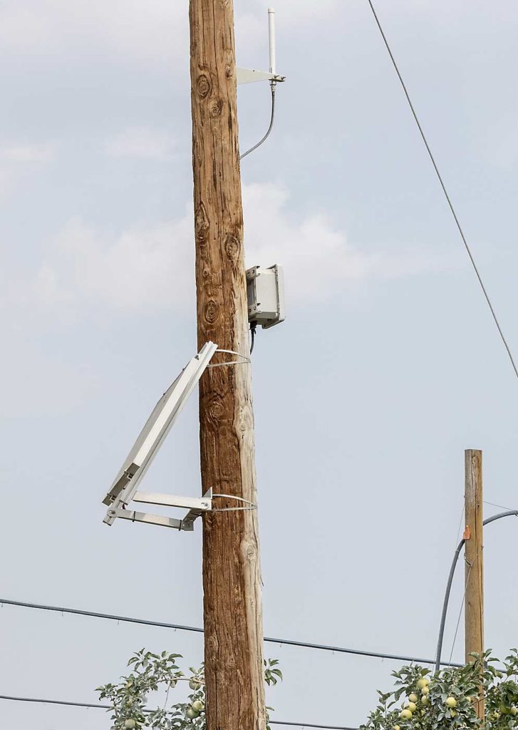 La promesa de las herramientas de alta tecnología para los huertos requiere de conectividad en el huerto y en algunos lugares remotos, y eso es una propuesta complicada. En el proyecto Huerto Inteligente, Scott Waller, de Thingy, instaló una red de telemetría LoRaWAN para transferir todos los datos de los “dispositivos ligeros”, como los sensores del suelo y del clima. (TJ Mullinax/Good Fruit Grower)