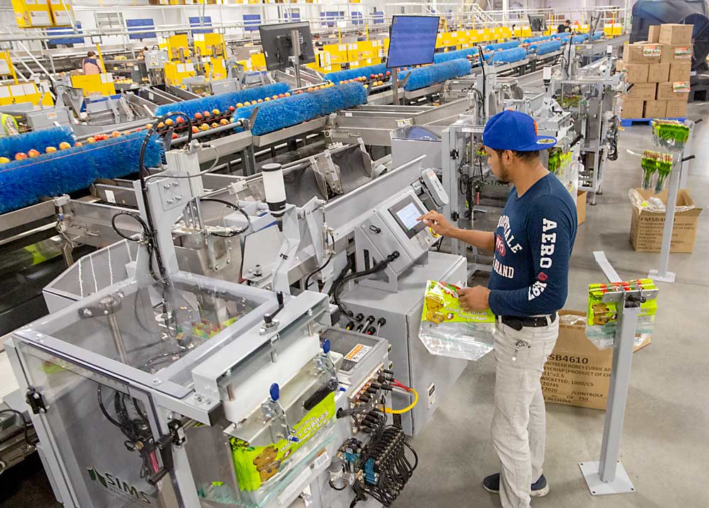 Justino López llena las bolsas de 1.4 kilogramos (3 libras) y ajusta la configuración, operando las ocho embolsadoras automáticas por sí mismo. (Ross Courtney/Good Fruit Grower)