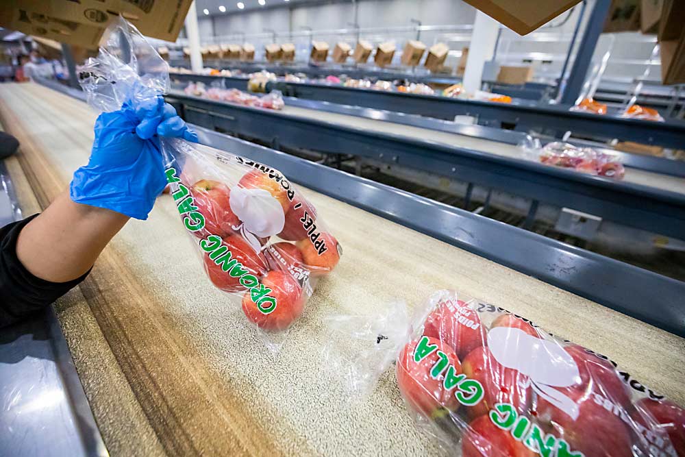 Washington Fruit and Produce Co. se topó con una inusual gran cantidad de bolsas a finales de agosto. Al igual que muchos empacadores de todo el país, el almacén de Yakima ha ajustado sus líneas para hacer frente a un aumento de la demanda de empaque de los consumidores desde que comenzó la pandemia. (TJ Mullinax/Good Fruit Grower)