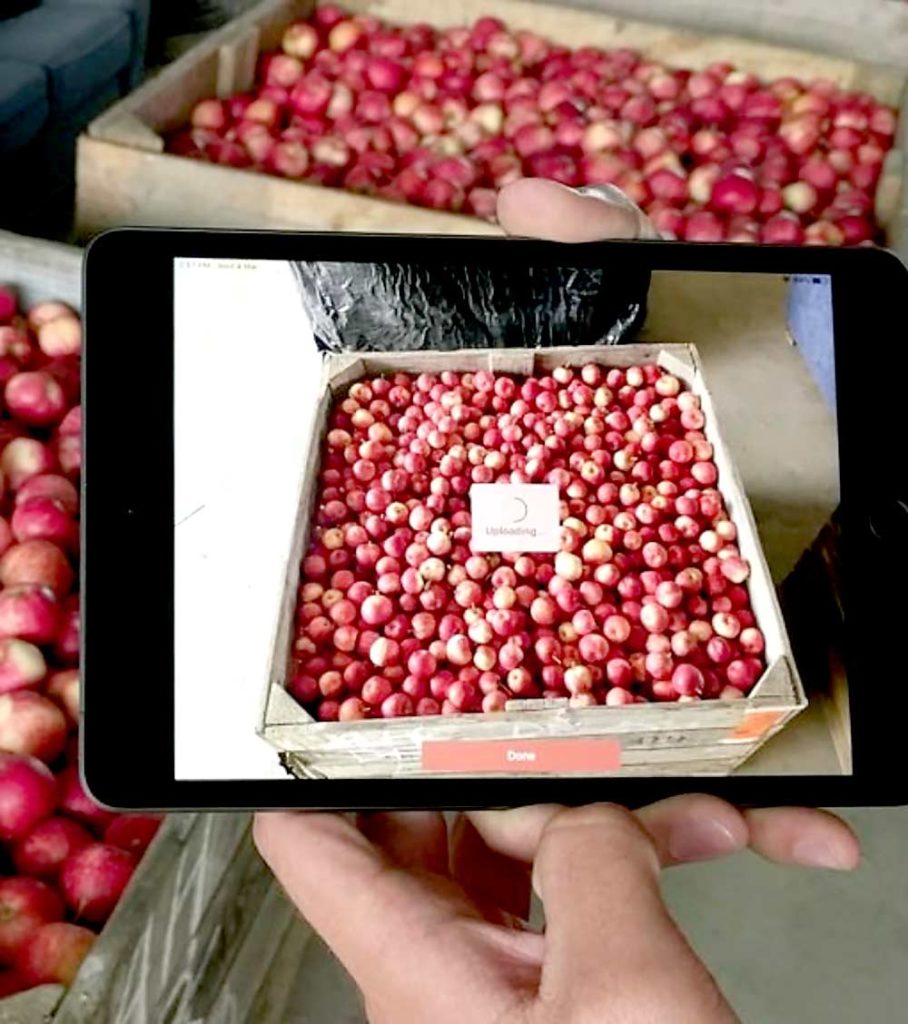 Para el calibrado óptico, ¿por qué esperar hasta que la fruta ya esté en la línea de empaque? Esa es la idea detrás del sistema Spectre de la empresa Hectre con sede en Nueva Zelanda. Con su proceso de imágenes, una fotografía de un contenedor puede convertirse en una tabla de intervalos de tamaño o de grados de color. La portavoz de la empresa, Kylie Hall, afirma que a los productores les gusta disponer de los datos en el momento de la cosecha, y los clientes de los almacenes quieren instalar la tecnología en las áreas de recepción para escanear la capa superior de las manzanas en los camiones que llegan. (Cortesía de Hectre)