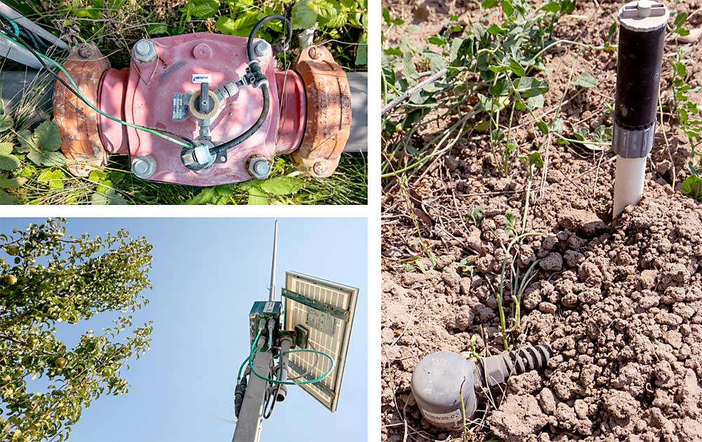 Desde la base, cada nodo del sistema de riego de precisión cuenta con sensores de humedad del suelo, válvulas automatizadas, sensores de profundidad (no mostrados en la foto) y un nodo alimentado por energía solar que retransmite datos y recibe instrucciones de la estación base situada a una milla de distancia, a lo largo del arroyo. (TJ Mullinax/Good Fruit Grower)