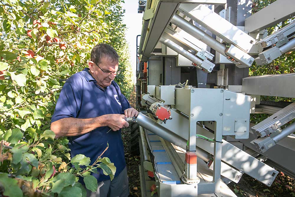 Avi Kahani, el director general y cofundador de Fresh Fruit Robotics, repara una pinza flexible de la recolectora de su empresa israelí en octubre del 2022 cerca de Mattawa, Washington. Kahani y otros desarrolladores de robótica pretenden alcanzar a un punto óptimo entre los componentes simples y fáciles de arreglar y las funciones complejas y precisas. (TJ Mullinax/Good Fruit Grower)