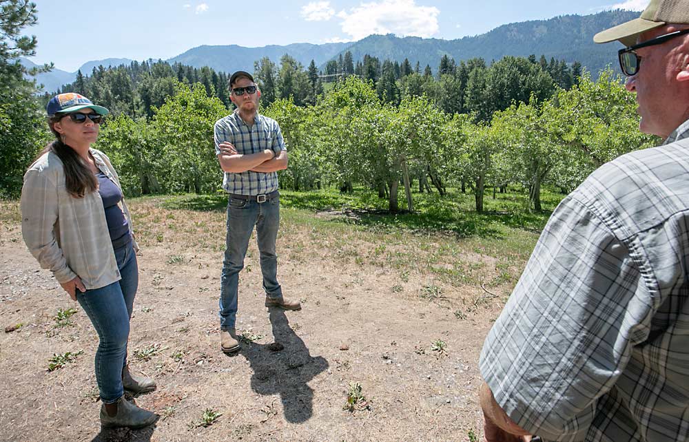 Empezando por la izquierda, Bixby-Brosi y Brosi hablan con Davis del primer cultivo que esperan cosechar, y del riesgo financiero de iniciarse en el sector de la pera. (TJ Mullinax/Good Fruit Grower)