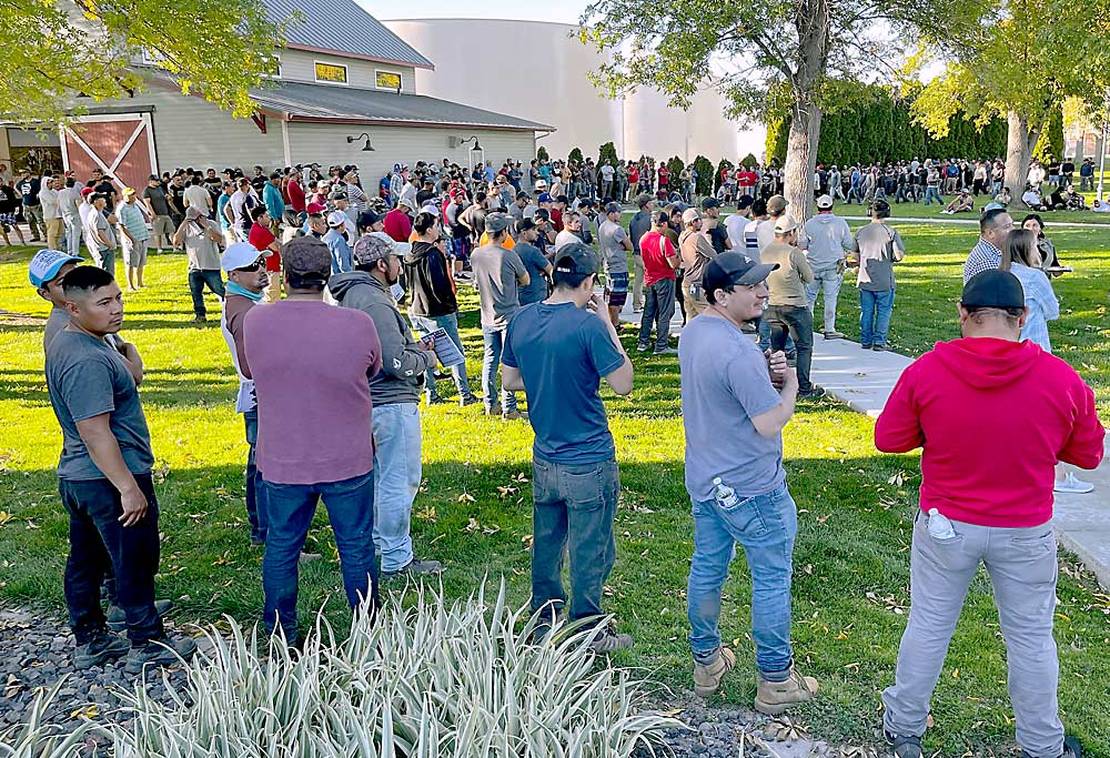 Trabajadores agrícolas reunidos en octubre en un parque de Quincy, Washington, en un foro sobre las horas extras en la agricultura. Varios trabajadores tomaron la palabra y afirmaron que la ley de horas extras de trabajo ha reducido su remuneración neta porque sus empleadores les ofrecen menos horas en total, dijeron los organizadores. (Cortesía de Judith Jackson/Centro para el Liderazgo Latino)