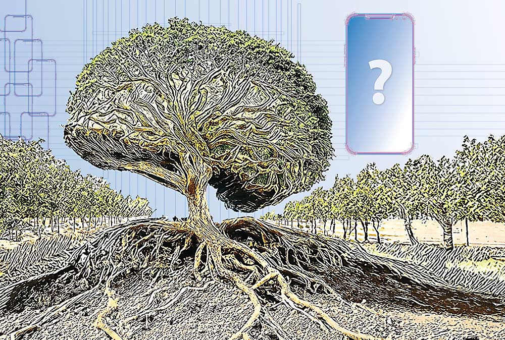 (Ilustración de TJ Mullinax/Good Fruit Grower)