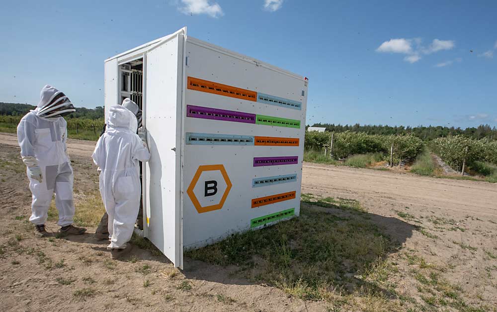 Esta colmena de alta tecnología llamada BeeHome de la empresa israelí BeeWise, ofrece control climático y herramientas de administración automatizada que mejorarán la salud de las colmenas y el rendimiento de la polinización, según la empresa. (TJ Mullinax/Good Fruit Grower)