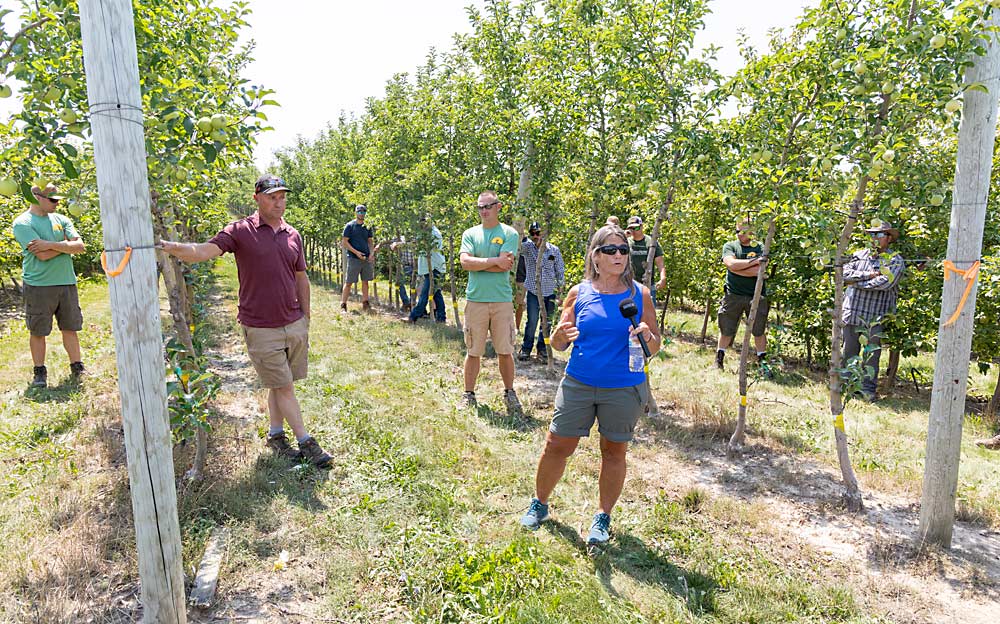 En agosto pasado, la injertadora Robbi VanTimmeren explica la técnica del injerto lateral con el cultivador Roger Umlor, segunda a la izquierda, durante el día de campo anual Ridgefest de Michigan Pomesters. (Matt Milkovich/Good Fruit Grower)