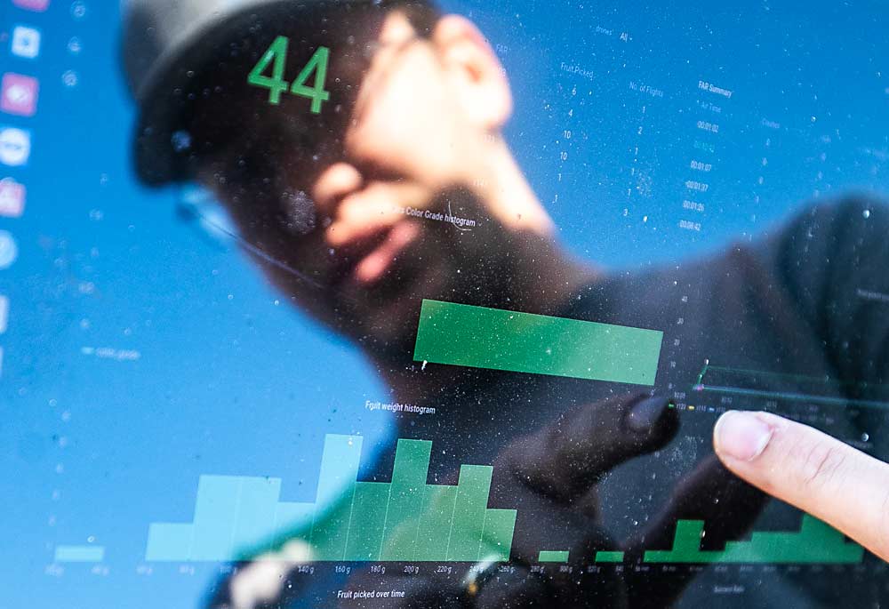 La cara de Nick Swenning, ingeniero de Tevel, se ve reflejada en la pantalla de una computadora que muestra cómo el Alpha-Bot realiza el monitoreo del peso y el volumen de la fruta al cortarla. (TJ Mullinax/Good Fruit Grower)