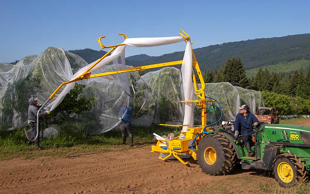 Usando el Net Wizz, una máquina hidráulica de aplicación de malla, el equipo de tres hombres de Borja llega al final de una hilera de perales. (Ross Courtney/Good Fruit Grower)