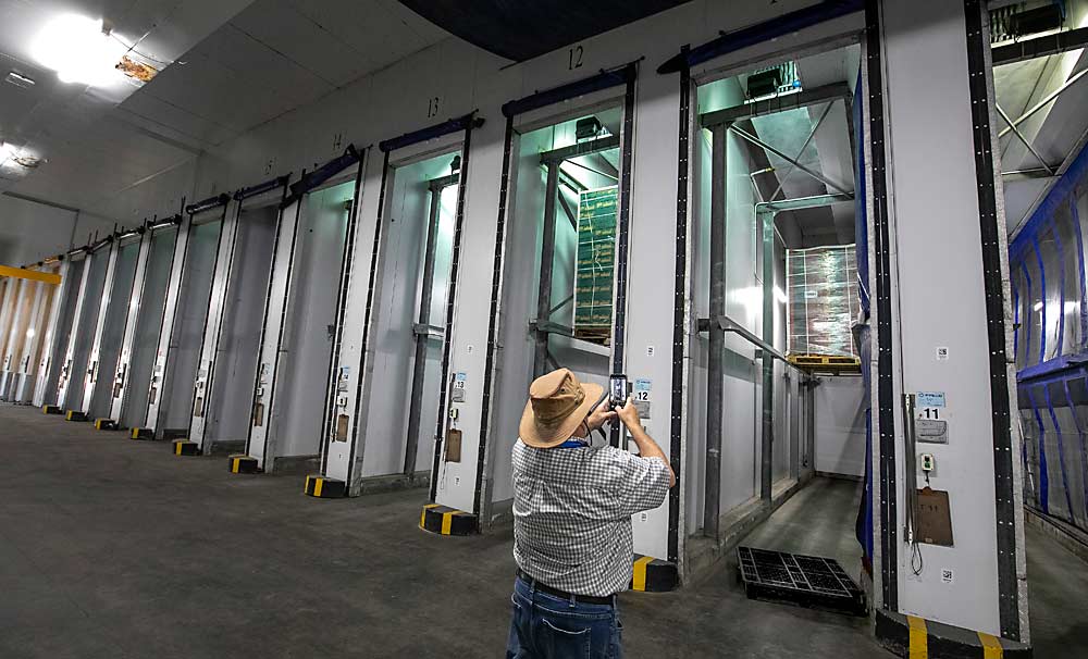 Las cámaras de refrigeración de aire forzado del empaque Fruit2U Packers forman una parte integral de la administración de una cadena de refrigeración orientada a la exportación y protegen la calidad de la fruta de hueso y la uva de mesa que se dirigen desde las huertas del Grupo LeRoux a compradores de todo el mundo. (TJ Mullinax/Good Fruit Grower)