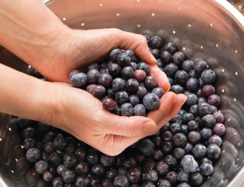 Blueberry exports reach China
