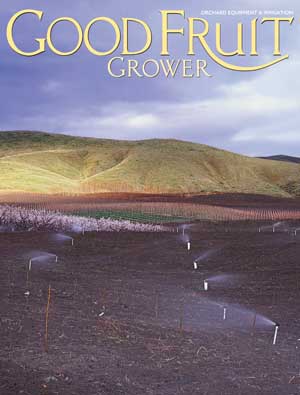 Irrigation of new orchard near Parker, Washington. Photo by Lance Johnson