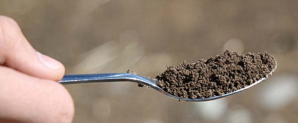 Soils are one of the most complex biological communities. A teaspoon of soil has more than 180 million bacteria, according to USDA’s Hal Collins.