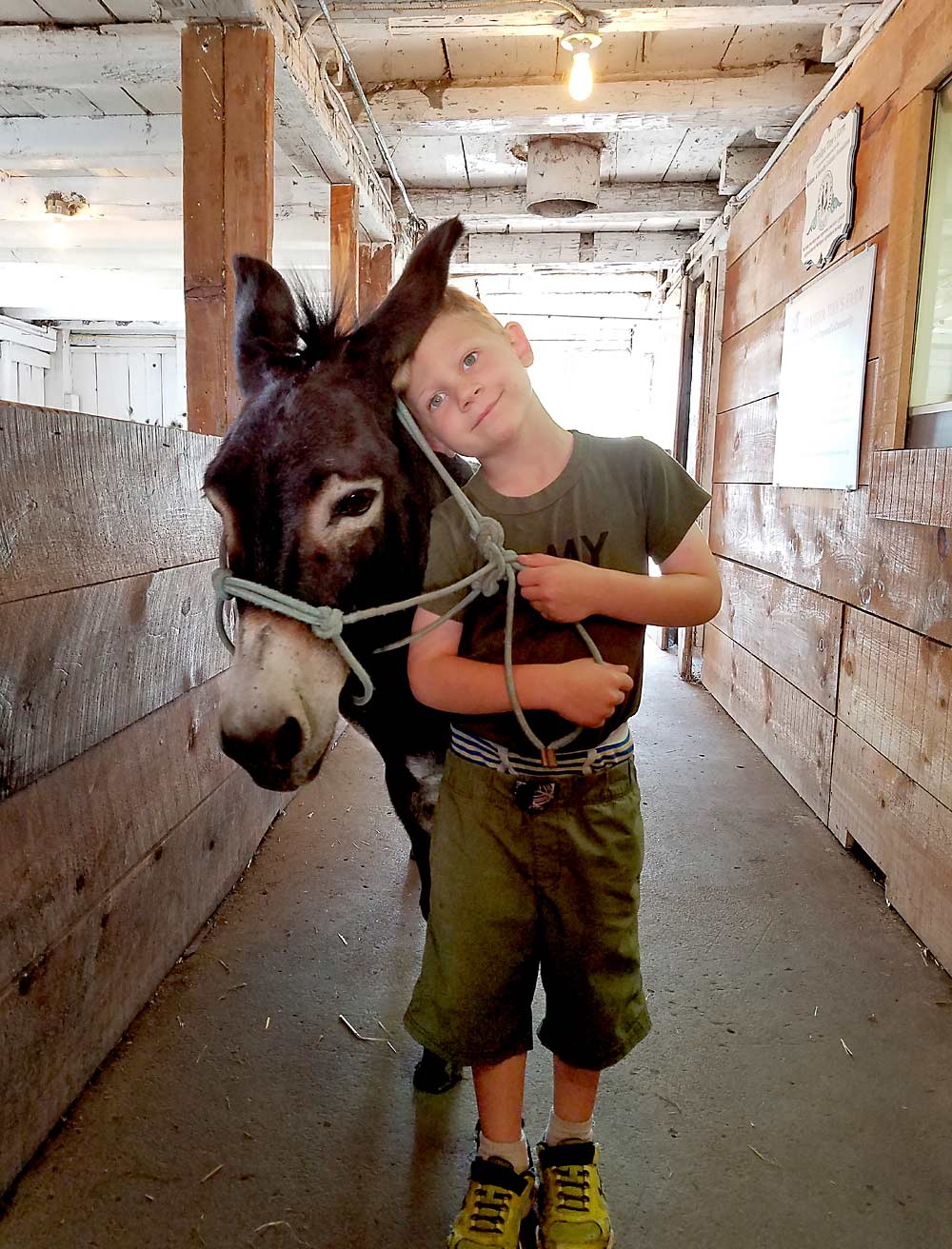 Many farms that offer agritourism extend well beyond the typical U-pick opportunities, including everything from event hosting and “glamping” to goat yoga and farm-animal petting areas, like this one pictured at Grandpa Tiny’s Farm in Frankenmuth, Michigan. (Courtesy Grandpa Tiny’s Farm)