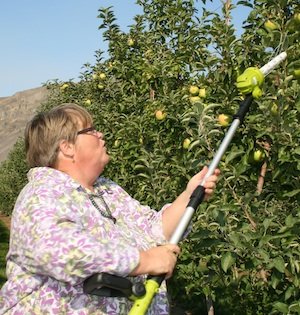 Karen Lewis demonstrates a new, lightweight, battery-operated, handheld mechanical pruner that will soon go on sale.