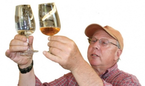 Drew Zimmerman evaluates a single-variety cider he made from apples in WSU’s cider orchard. WSU scientists are compiling a database of cider characteristics. The data will help cider makers when selecting varieties for blending. Mettais, pictured above right, is a bittersharp variety with high tannins and acidity. Geraldine Warner 