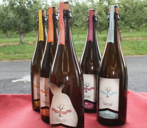 Snowdrift cidery makes several blends of cider and perry. Perry is made from pears. Geraldine Warner 
