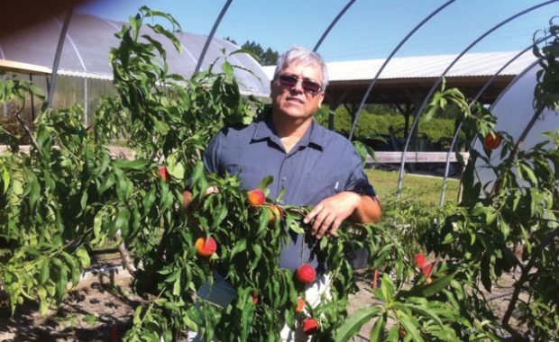 José Chaparro has been breeding low-chill peaches for central to south Florida. Here, he is with UFOne. Photos courtesy of José Chaparro 