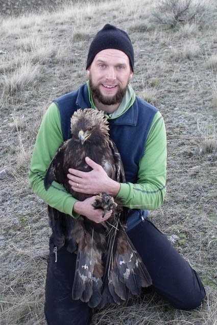 Wildlife biologist Tim Pitz holds an adult golden eagle that was captured as part of a telemetry study. The study outfitted raptors with backpack transmitters to track their hunting, movement, and migration. (Courtesy Northwest Wildlife Consultants)