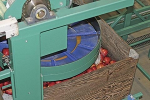 This gentle bin filler softly sets fruit in the bin as it rises and lowers to meet the fruit. 