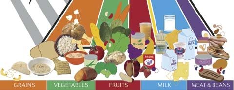 The revised USDA food pyramid includes greater emphasis on fruit. 