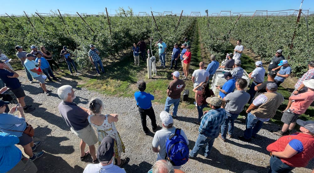 Attendees begin the first day of the 2022 International Fruit Tree Association Summer Study Tour in Central Washington at a Douglas Fruit WA 38 apple block in Pasco on July 18. (TJ Mullinax/Good Fruit Grower)