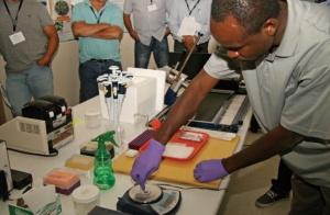 Washington State University postdoctorate student Femi Alabi demonstrates how grape tissue is analyzed for virus. Melissa Hansen 