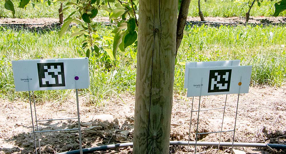 Farm Vision QR codes placed in a Michigan orchard last summer. The signs are used as markers that separate orchard rows into sections. Operators scan Farm Vision’s handheld tool in a zigzag pattern in each section. The QR codes connect with the tool via GPS location data. (Matt Milkovich/Good Fruit Grower)